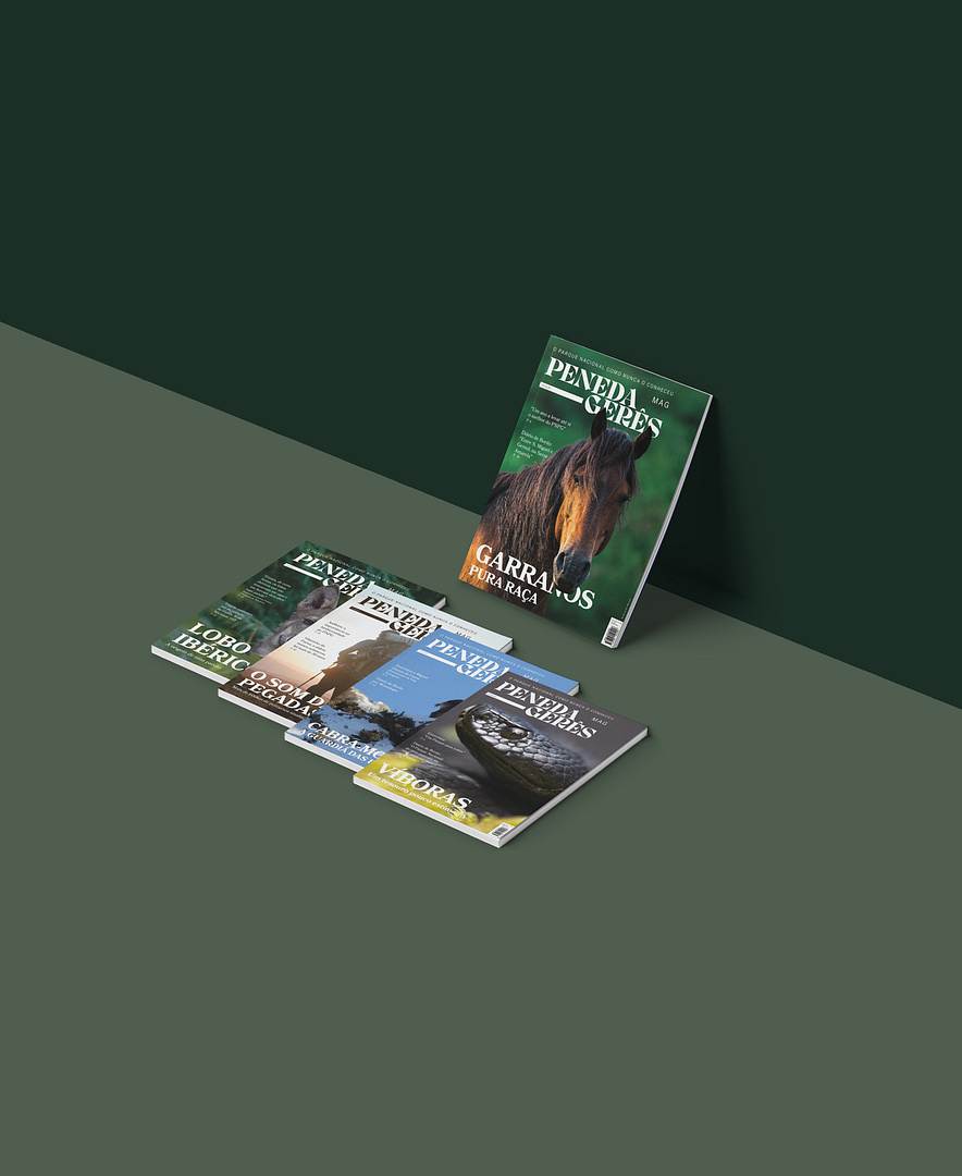 capas-5ed